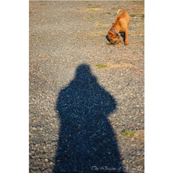 dailyPhoto40